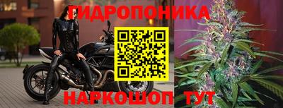 дживик Свободный